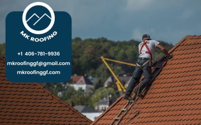 Is It Time for a New Roof? Finding the Best Roof Replacement Near Me