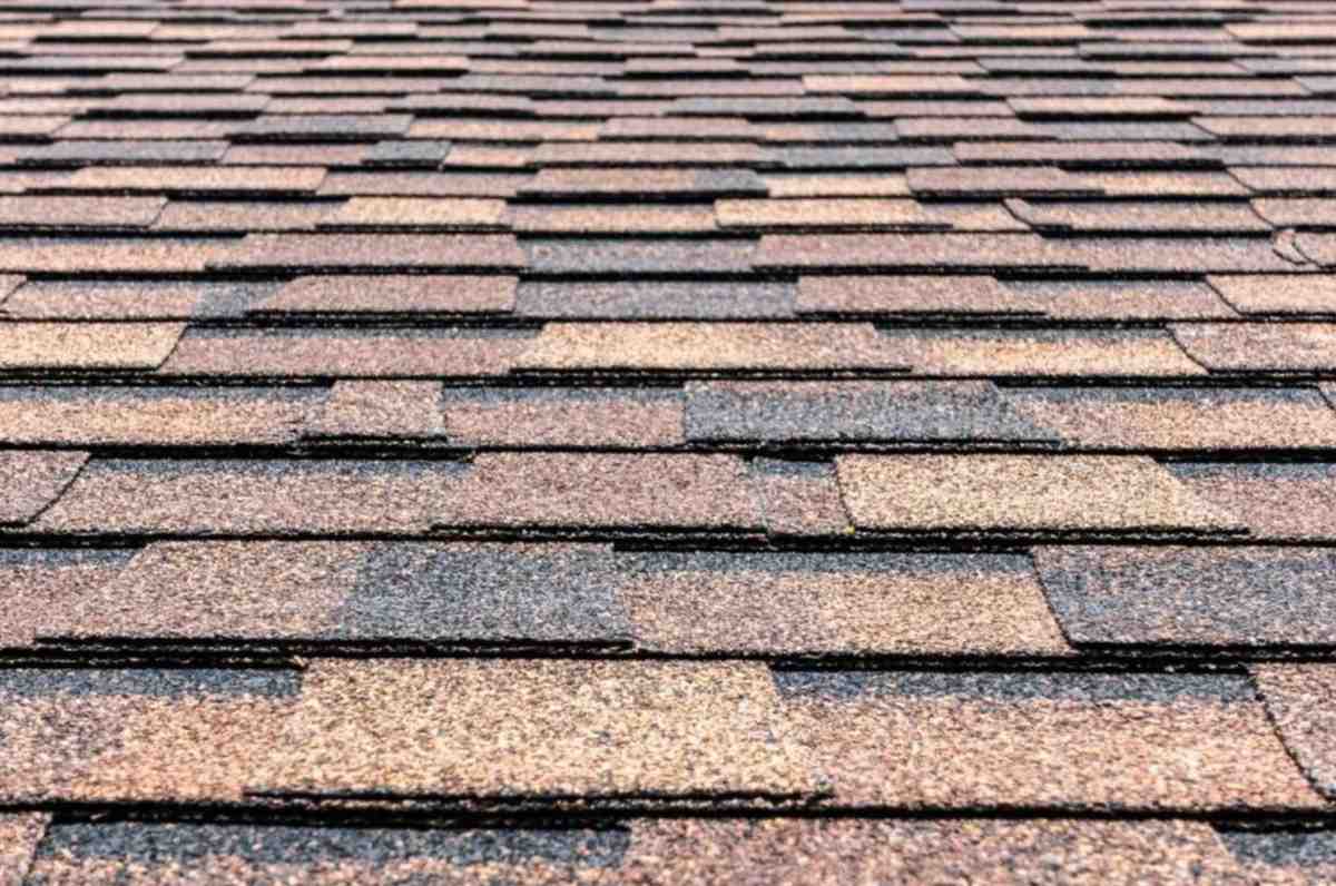 Asphalt Shingle Roof